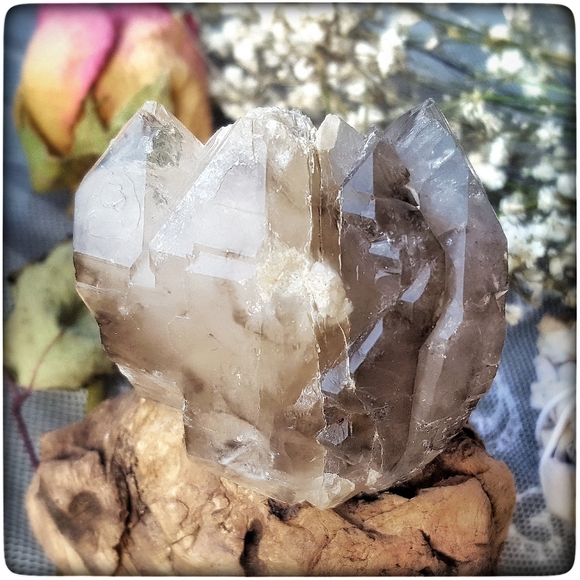 EARTHBOUND Other - RARE Smoky Cathedral Quartz healing crystal
